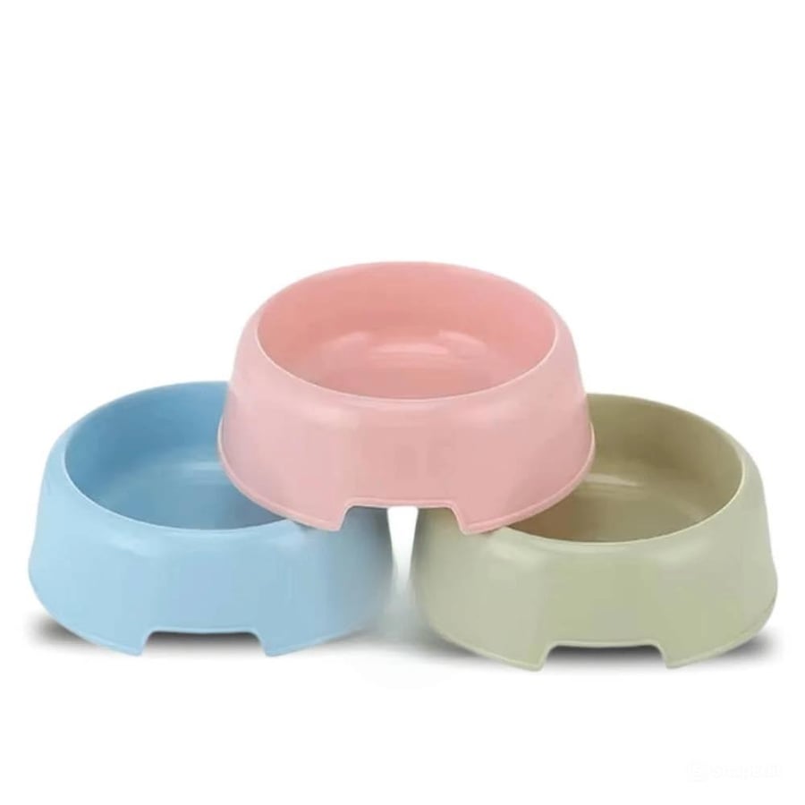 Plastic food dish for cats, multicolored
