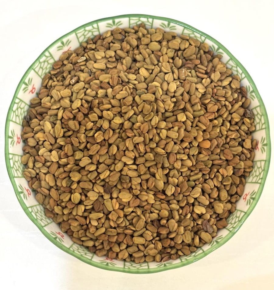حلبه بلدي