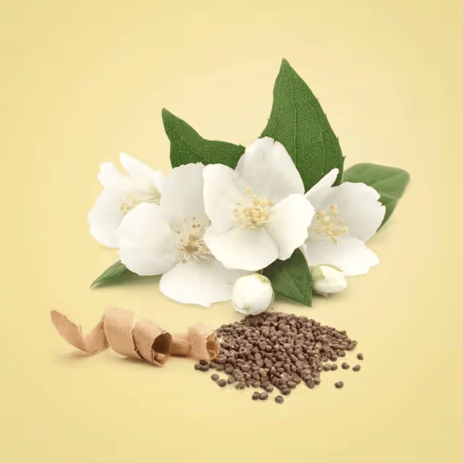 عطر كالفن كلاين بيوتي أو دو بارفان 100 مل للنساء