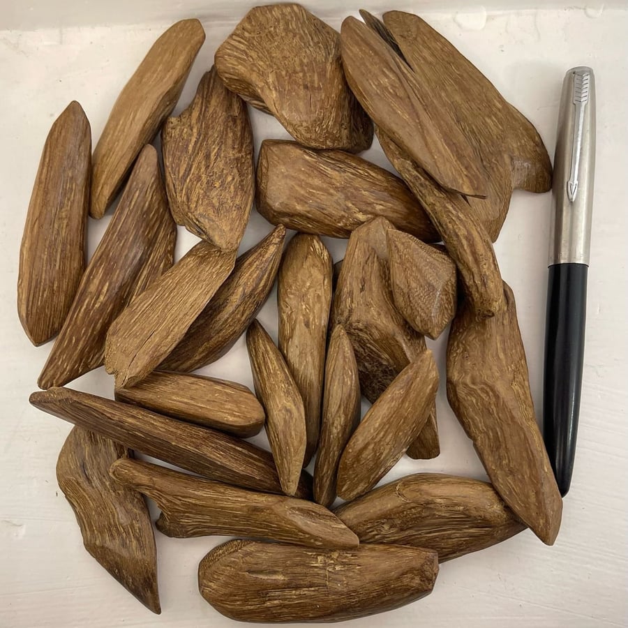 مروكي محسن فاخر