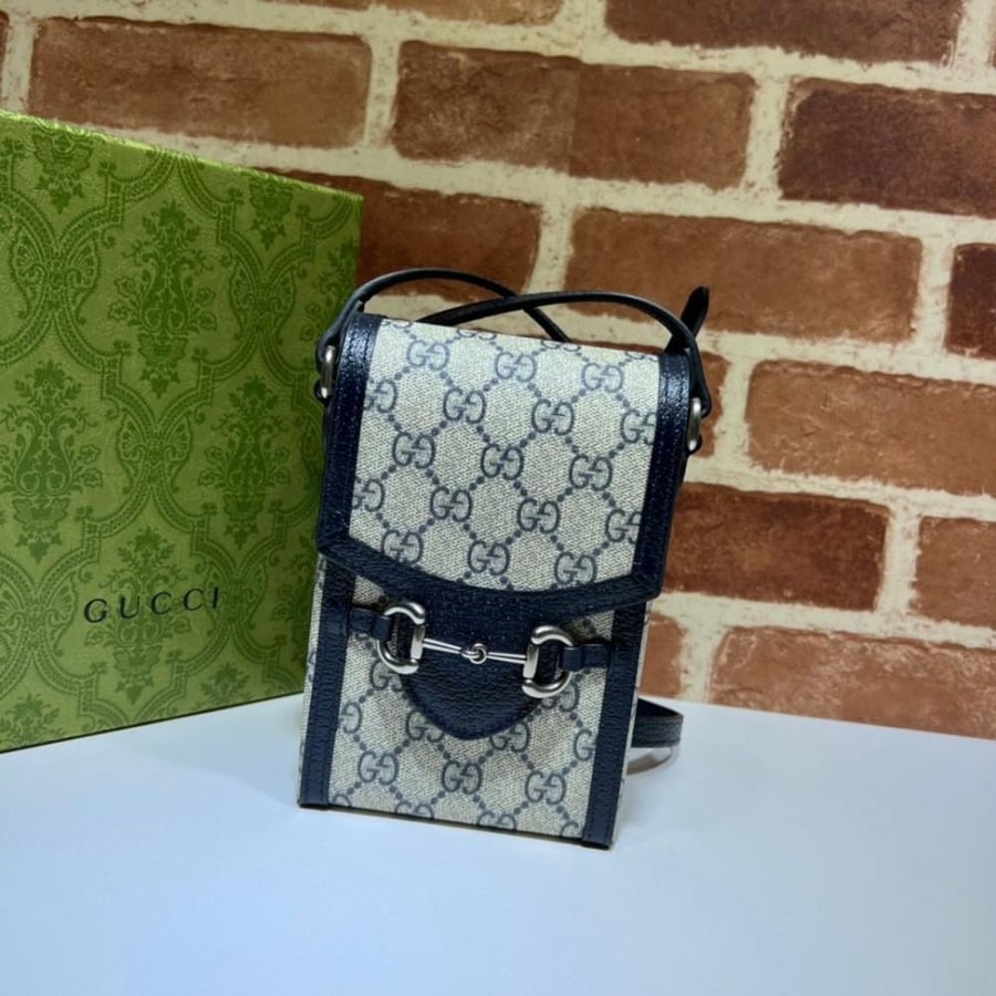 Gucci bag
