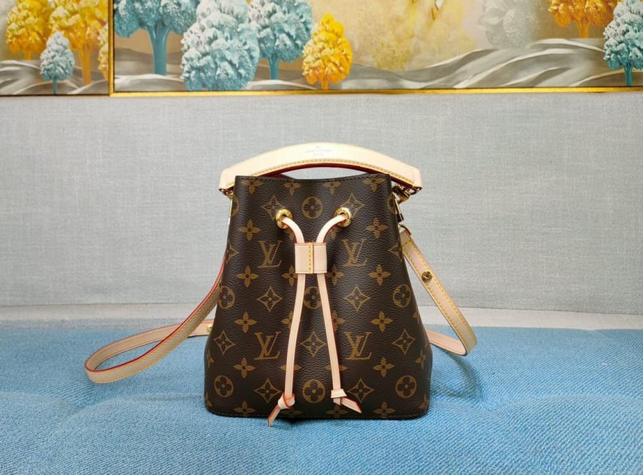 Louis Vuitton bag