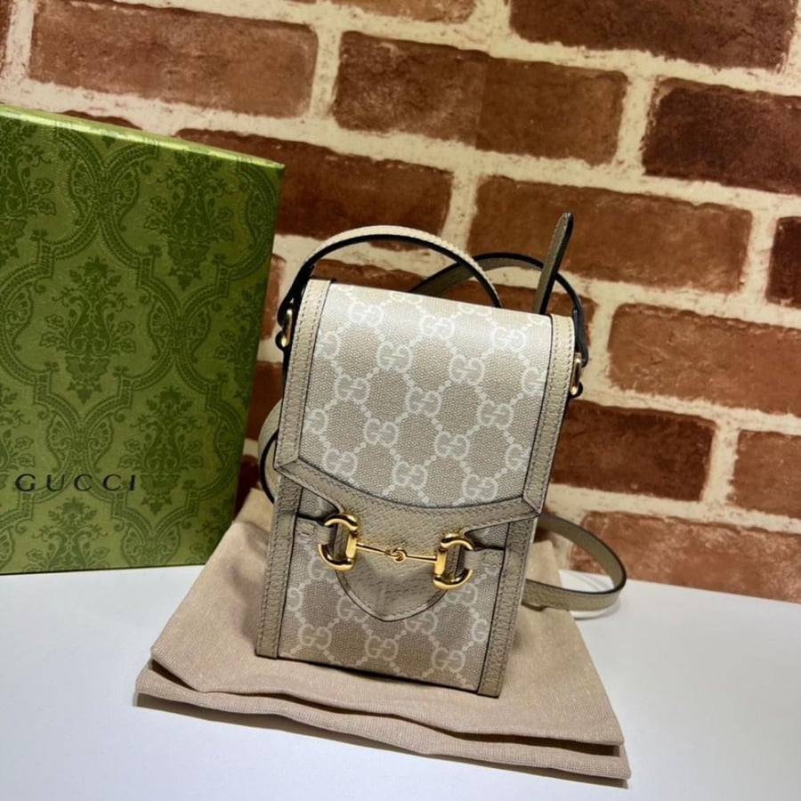 Gucci bag