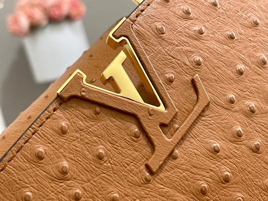 Louis Vuitton bag