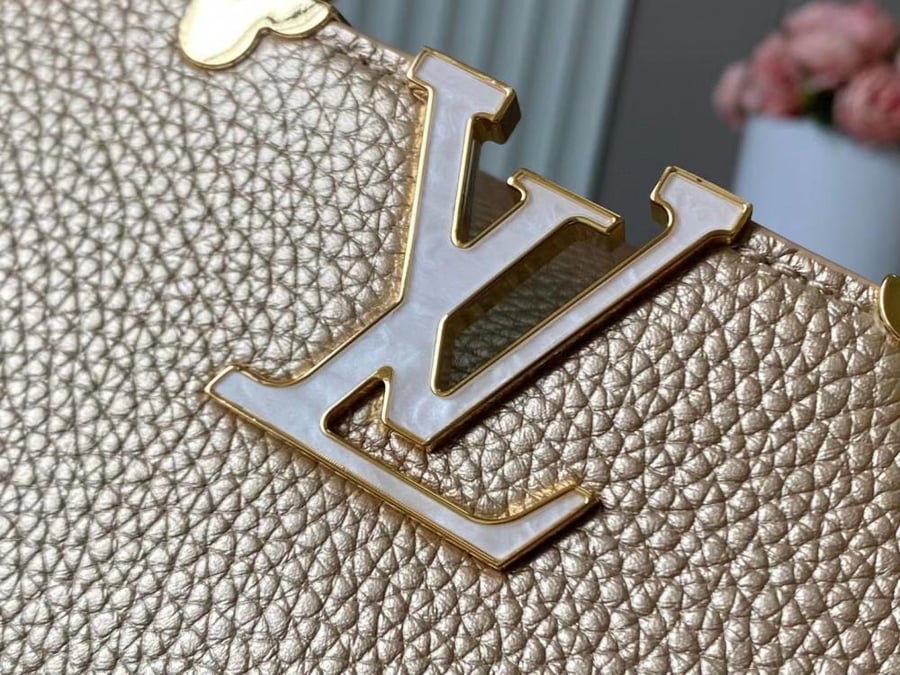 Louis Vuitton bag