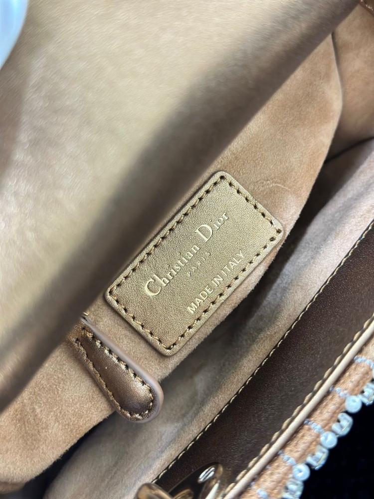 Dior bag 2023