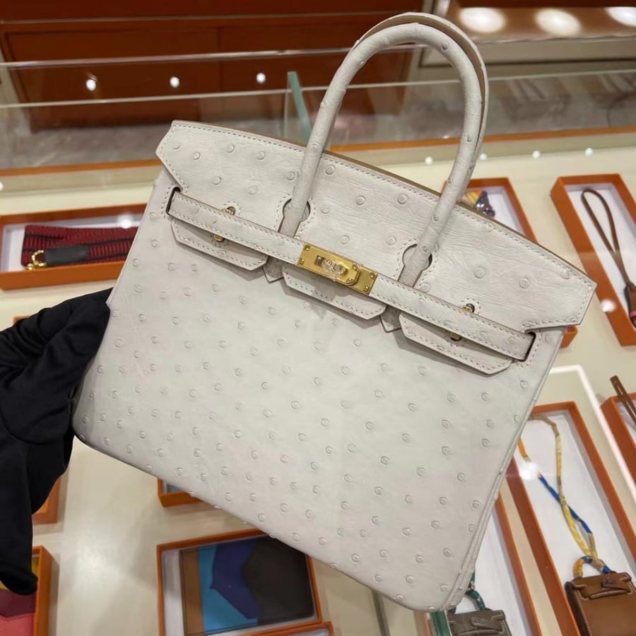 Hermes Birkin bag in formal colors