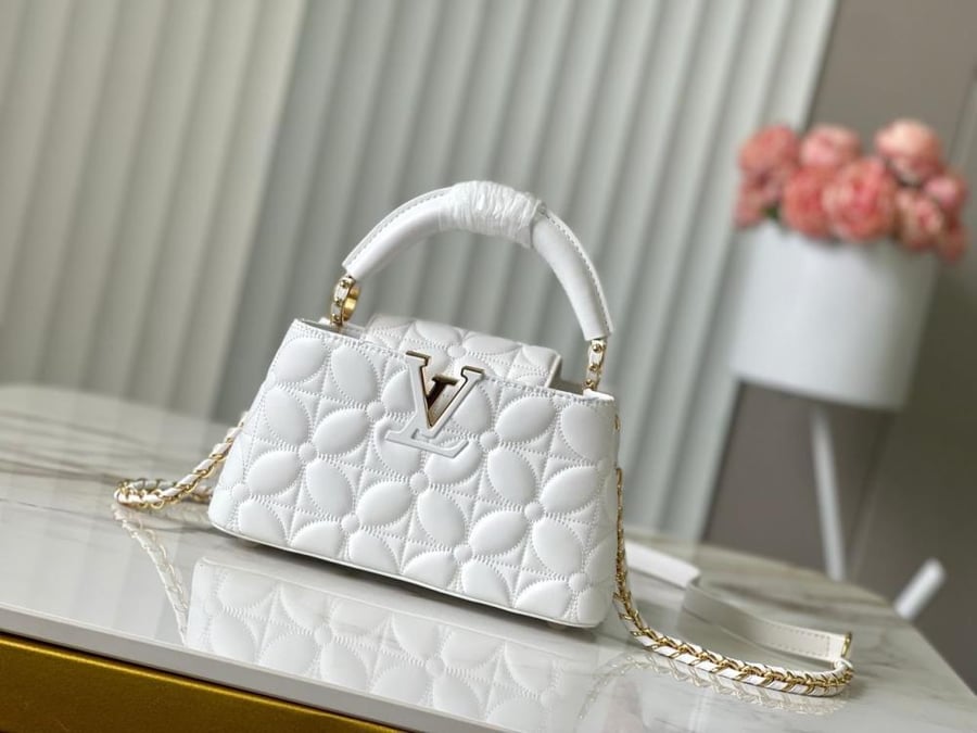 حقيبة لويس فيتون 22cm
