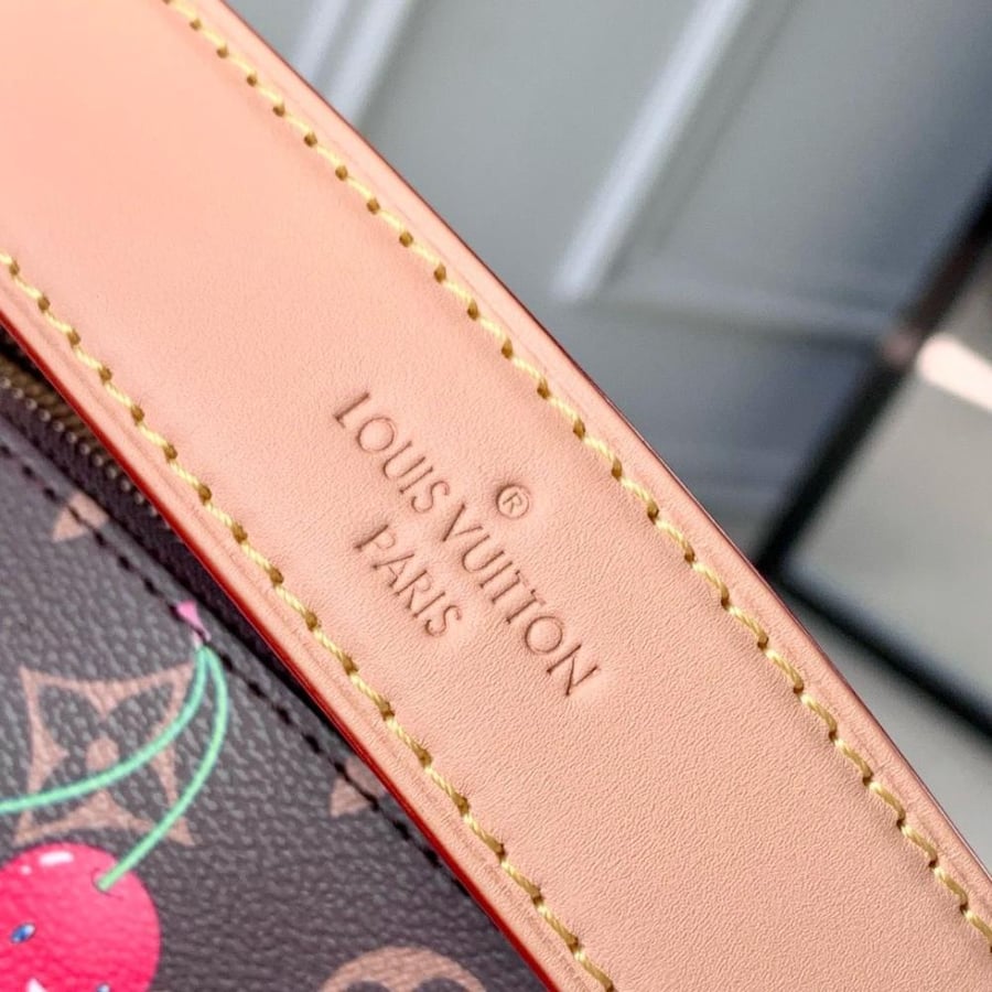 Louis Vuitton bag