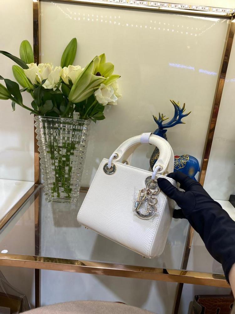 Dior leather bag lizard