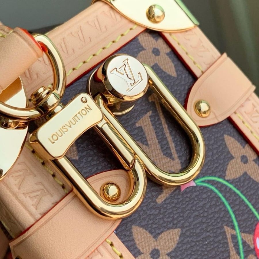 Louis Vuitton bag