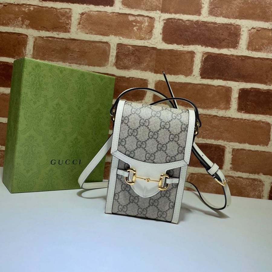 Gucci bag