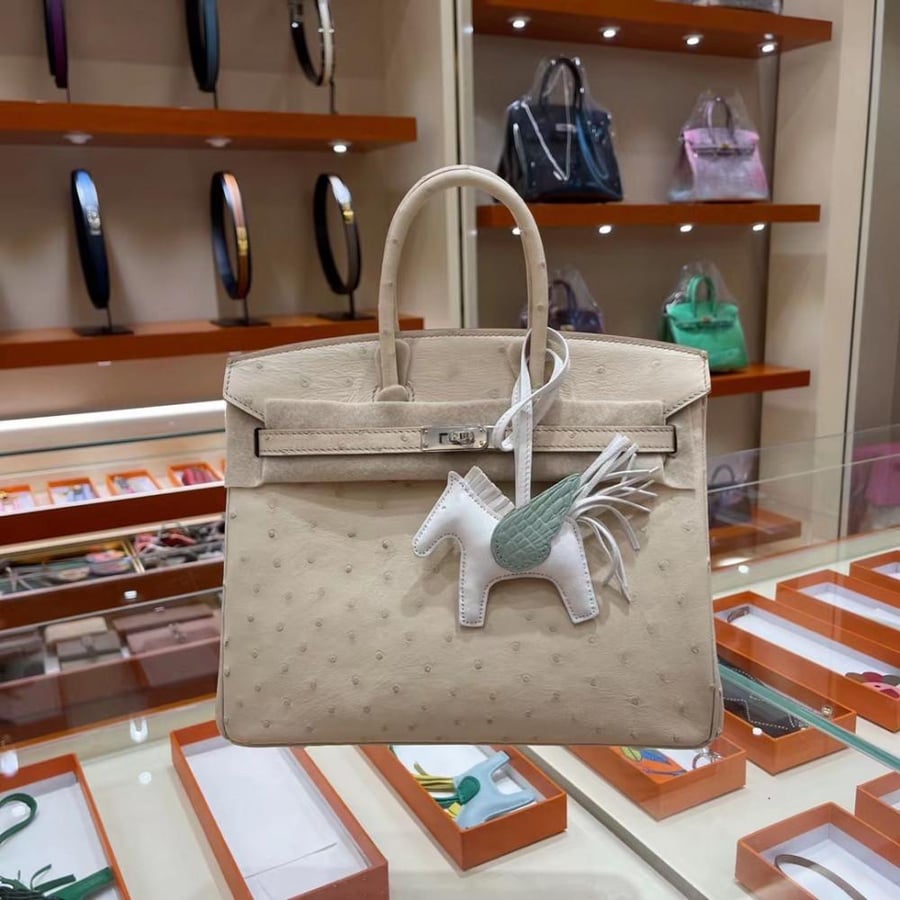 Hermes Birkin bag in formal colors