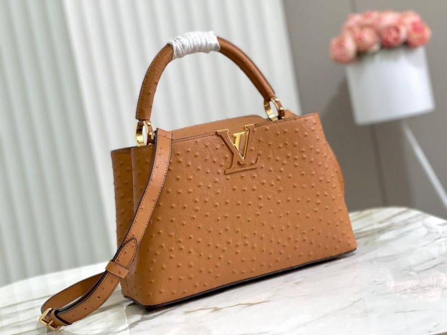 Louis Vuitton bag