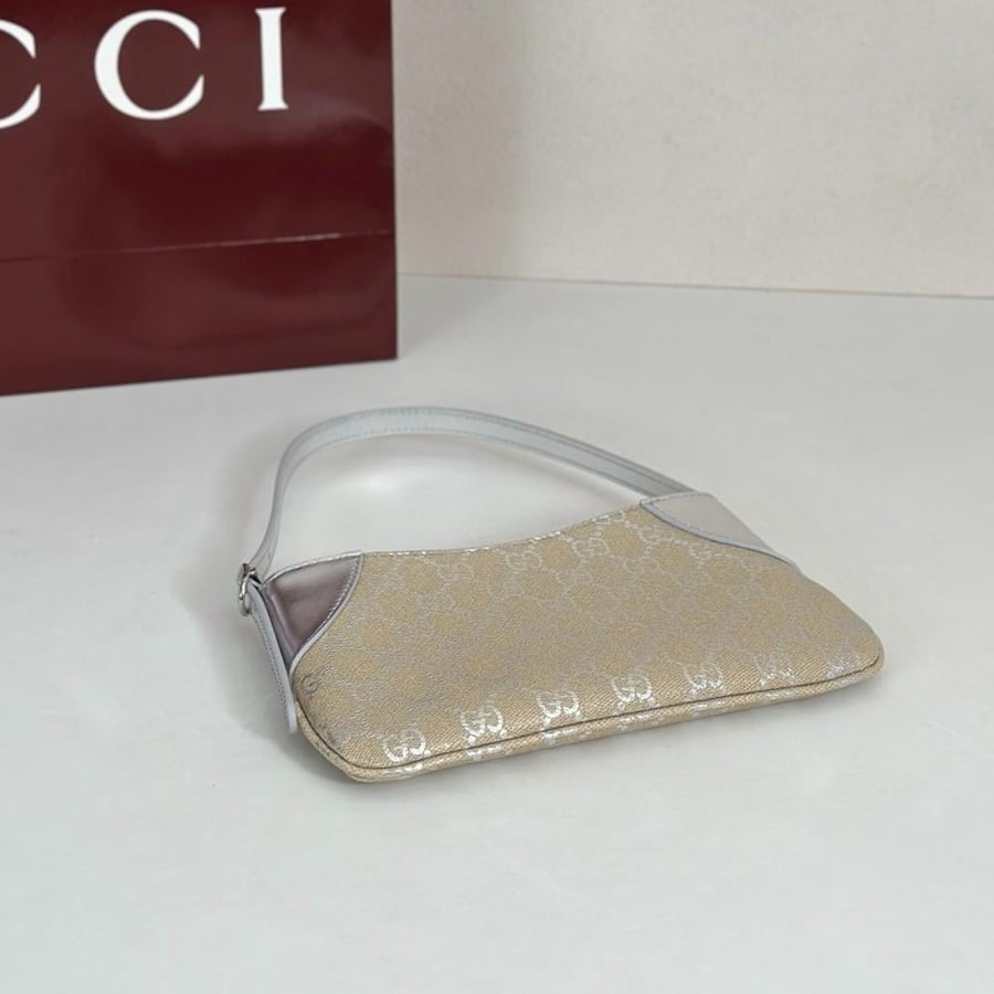 Gucci bag