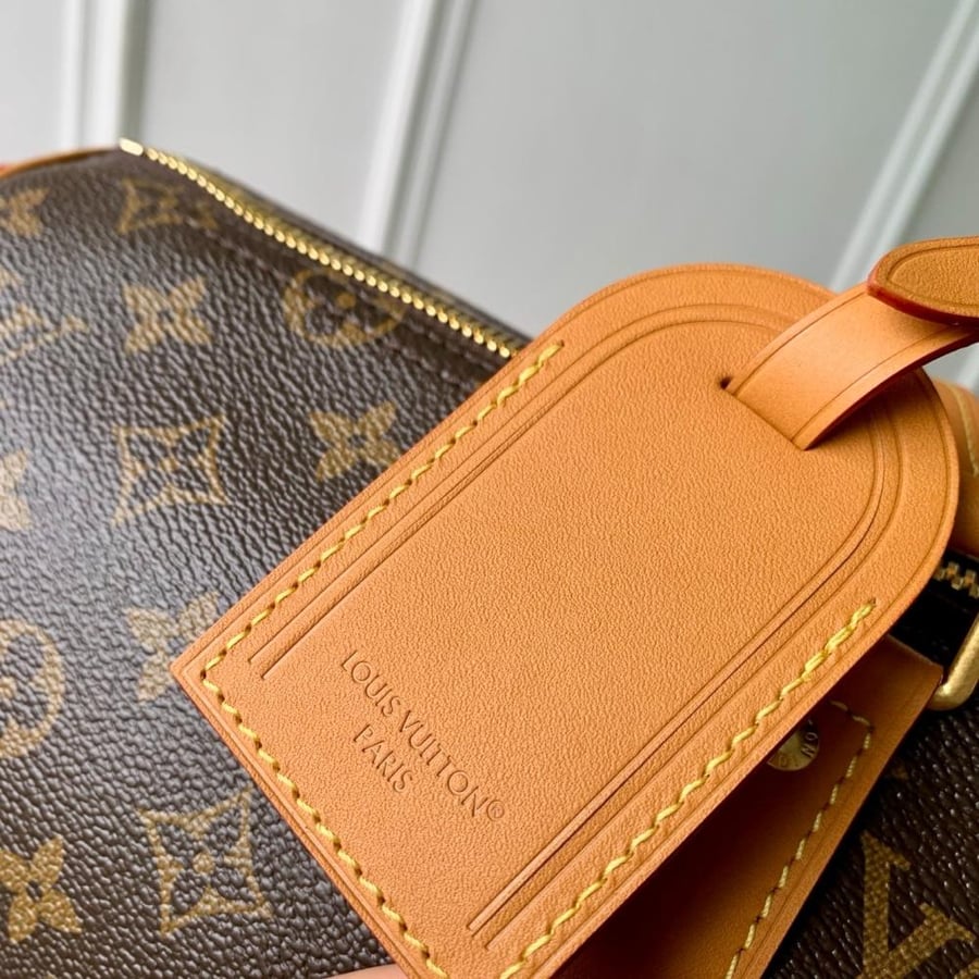 Louis Vuitton travel bag