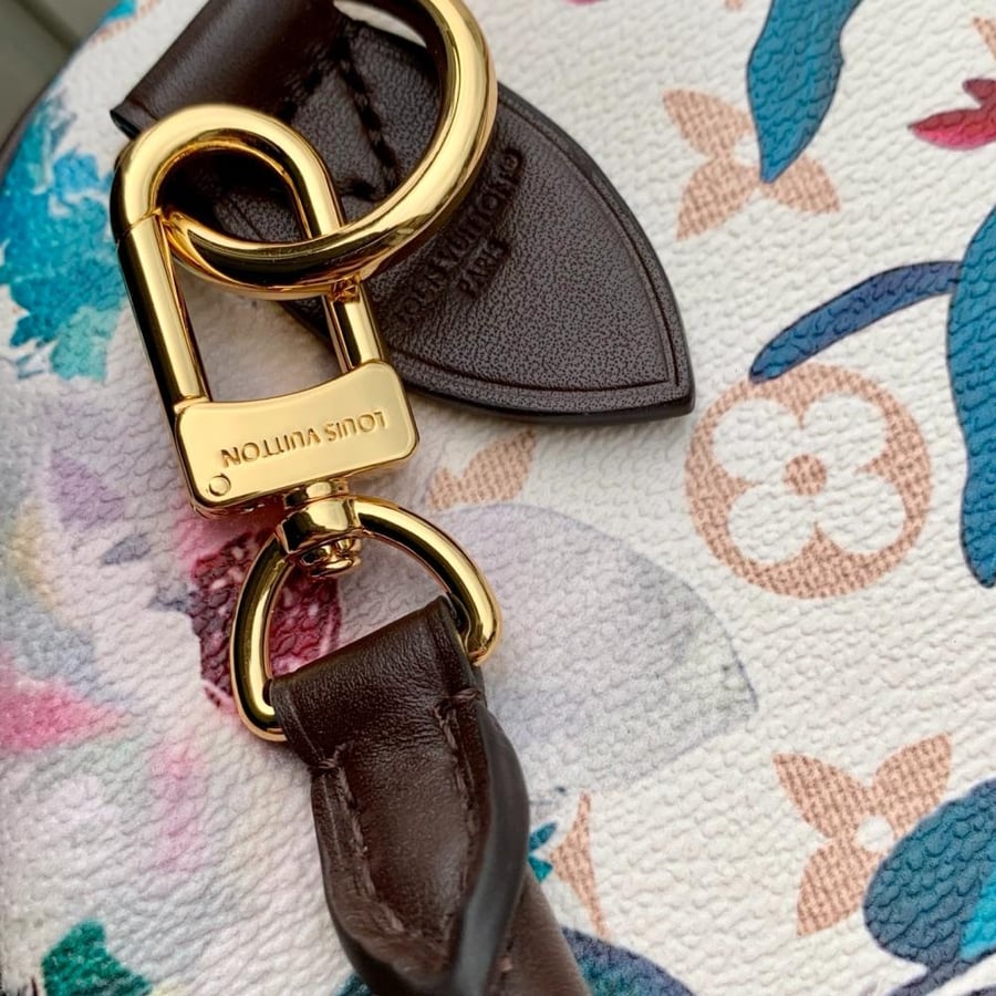 Louis Vuitton bag