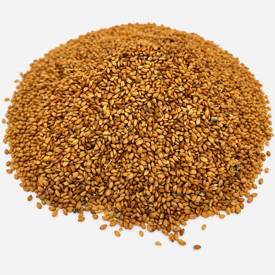 Radish seeds