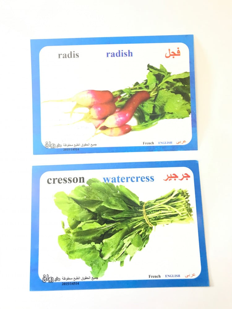 بطاقات الخضروات التعليمية 3 لغات