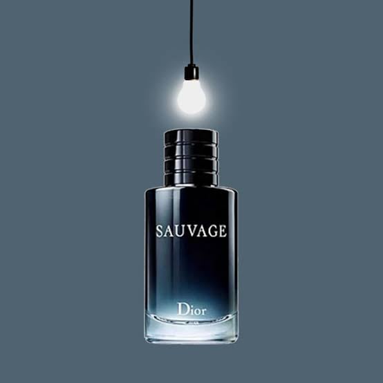 عطر ديور سوفاج او فورت بارفيوم 100مل