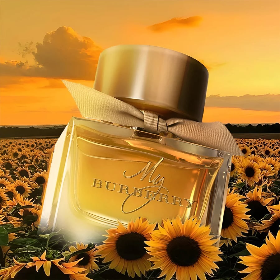 عطر بربري ماي بربري او دو بارفيوم 50مل