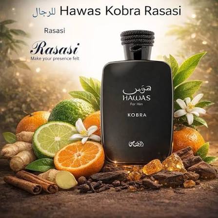 عرض هوس الرصاصي التاريخي 10 مل 10 حبات