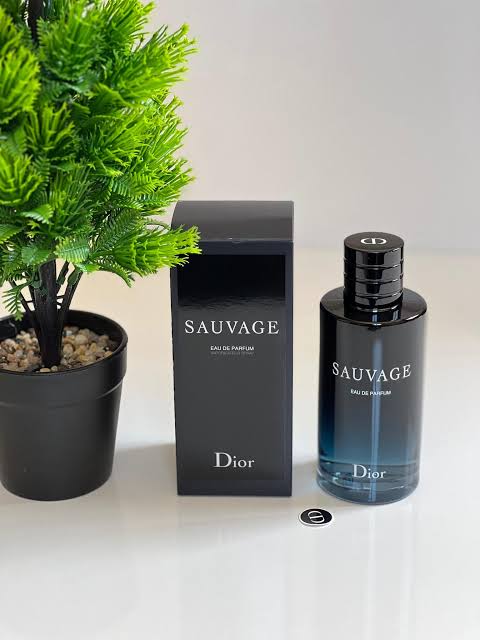 عطر ديور سوفاج او فورت بارفيوم 100مل