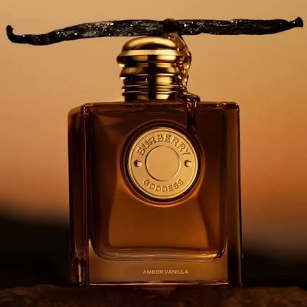 عطر بربري جوديس عمبر فانيلا انتنس او دو بارفيوم 100 مل