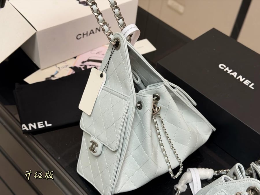 Chanel 25 hobo