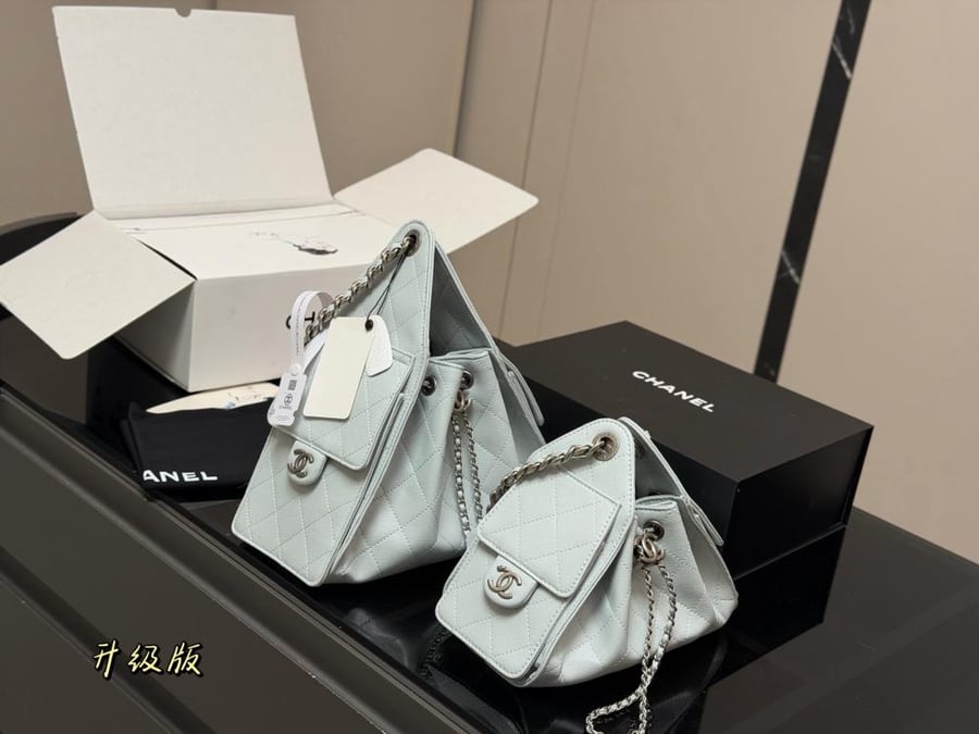Chanel 25 hobo