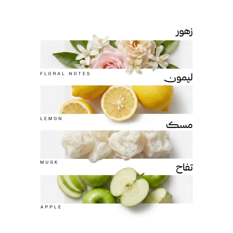 بلوم