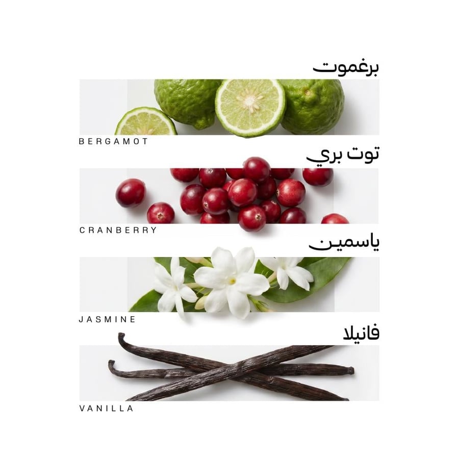 انتنس
