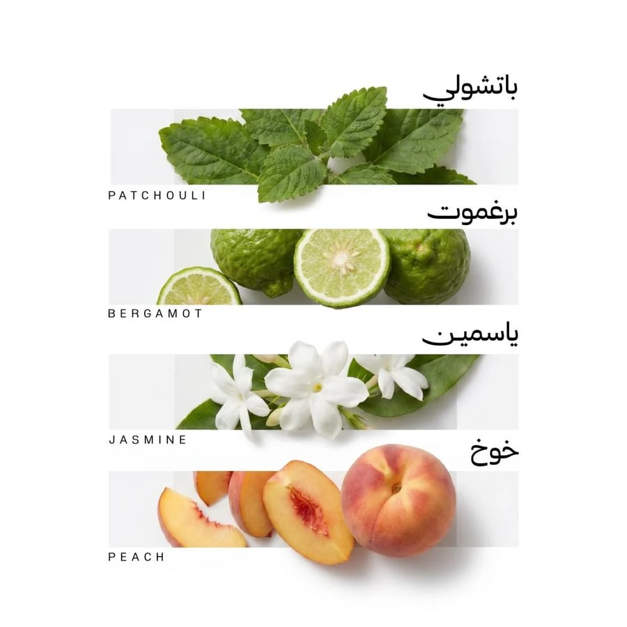 الرياض