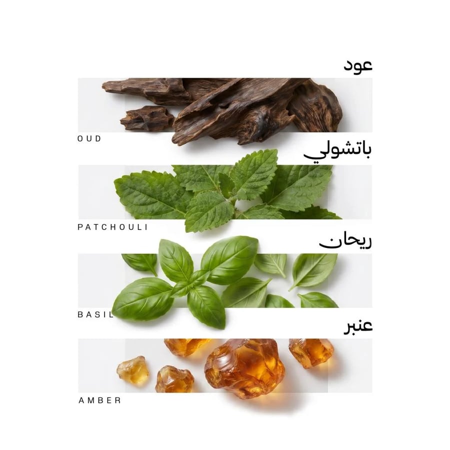 ستار