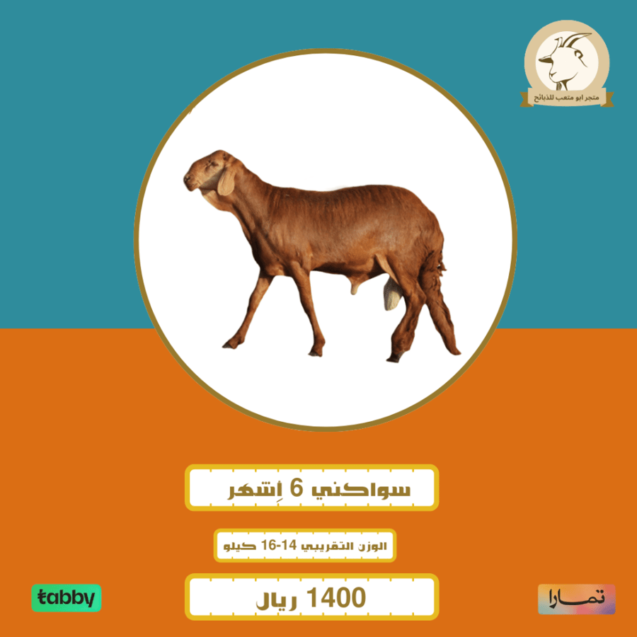 Sukani 6 months