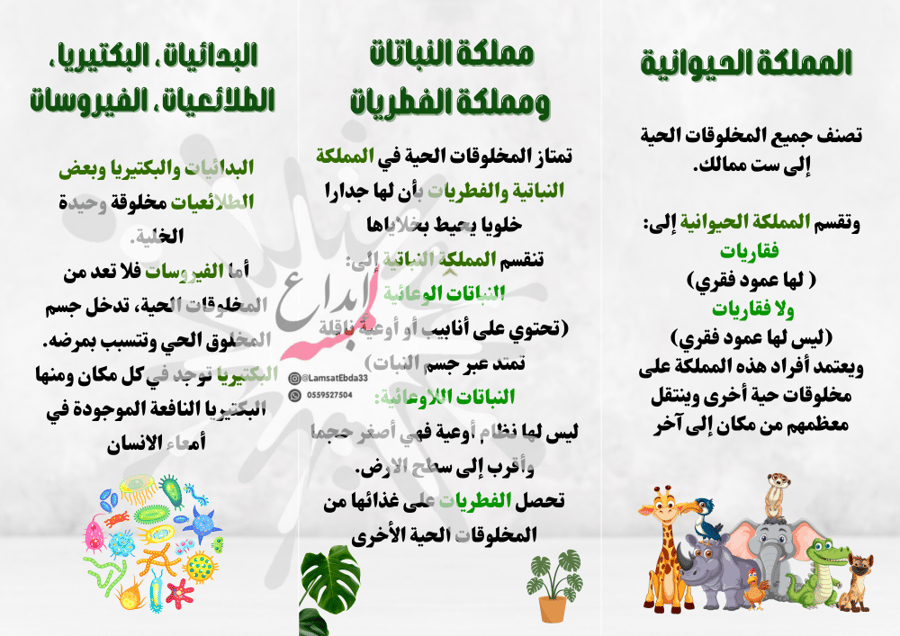مطوية (تصنيف المخلوقات الحية) مادة علوم للصف الخامس الابتدائي