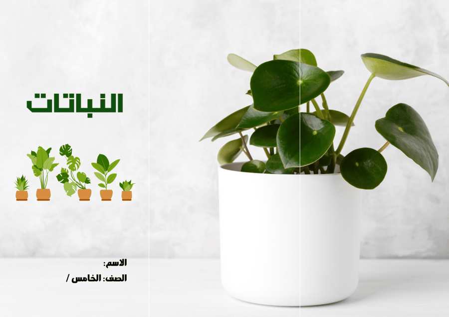مطوية (النباتات)  مادة علوم للصف الخامس الابتدائي (فارغة)