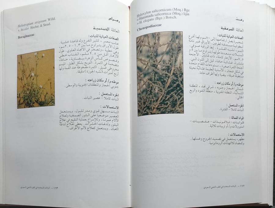 النباتات المستخدمة في الطب الشعبي السعودي . اصدار مدينة الملك عبدالعزيز للعلوم والتقنية . غلاف مقوى . الصفحات 326 صفحة تحتوي على صور