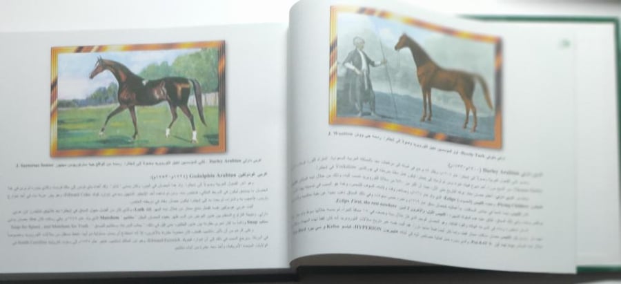 كتاب فحول خيل السعودية لعام 2001 . علي بن محمد الفهيد . غلاف مقوى من 300 صفحة تحتوي على الصور