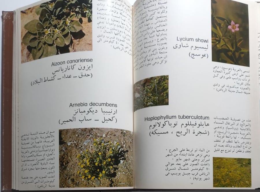 الأزهار البرية للمنطقة الوسطى في المملكة العربية السعوديةالإعداد: بيني أ. ليسكومب فينسنت  . غلاف مقوى من الحجم الكبير
