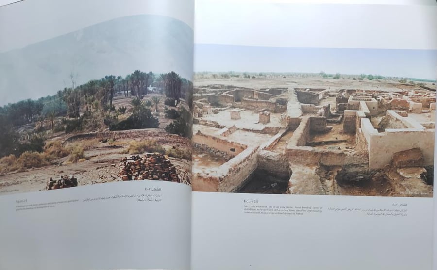 The Arabian Horse: Origin, Development and History الحصان العربي الاصل والتطور والتاريخ . الصفحات 451 صفحة من الحجم الكبير تحتوي على الصور