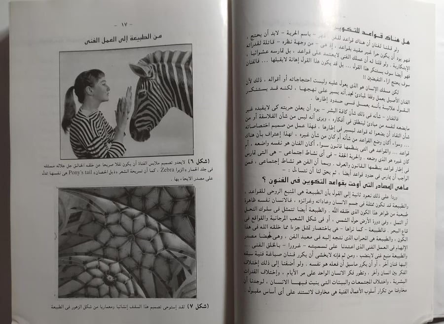 التكوين في الفنون التشكيلية . تأليف : عبدالفتاح رياض . غلاف مقوى . الصفحات  517 صفحة مزودة بالصور