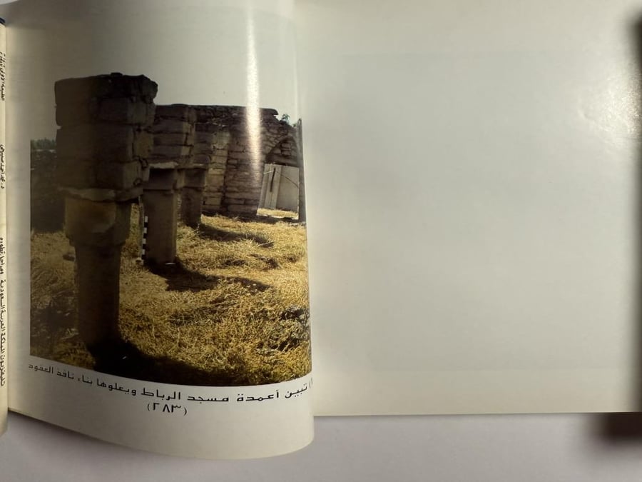 مدينة ظفار- سلطنة عمان. دراسة تاريخيّة اثرية معمارية. تأليف: أ . د . محمد عبدالستار عثمان . الصفحات 306 صفحة مزوده بالصور