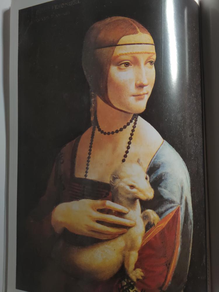 ليوناردو دافنشي . سلسلة الفن العالمي . تأليف : فاطمة علي . حجم كبير . يحتوي على عدد من صور اللوحات الفنية