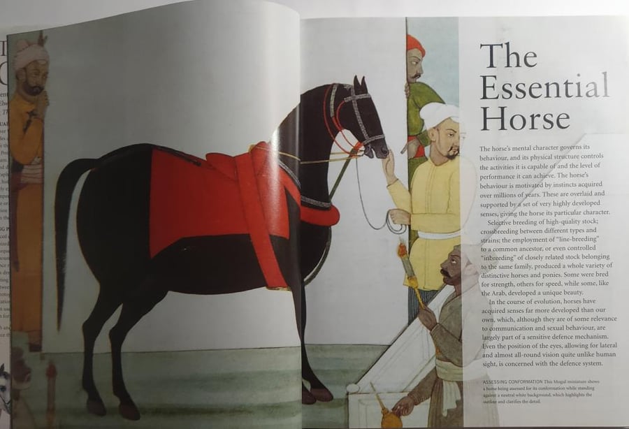 Horse. by Elwyn Hartley Edards . hardcover.big size . 267 page