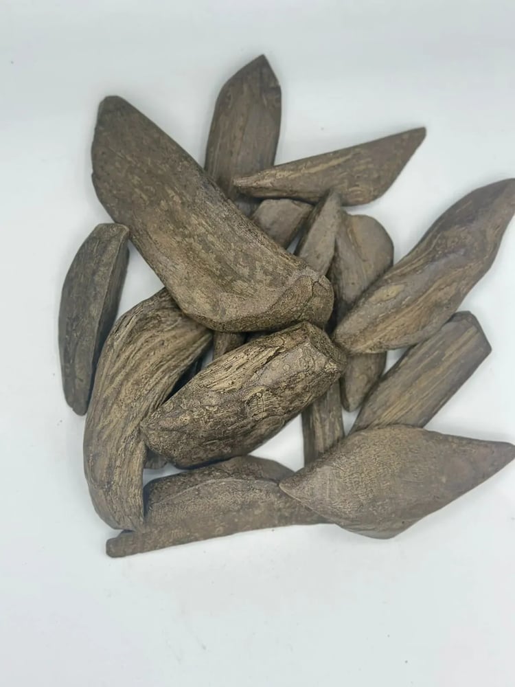 عود AB أسقون