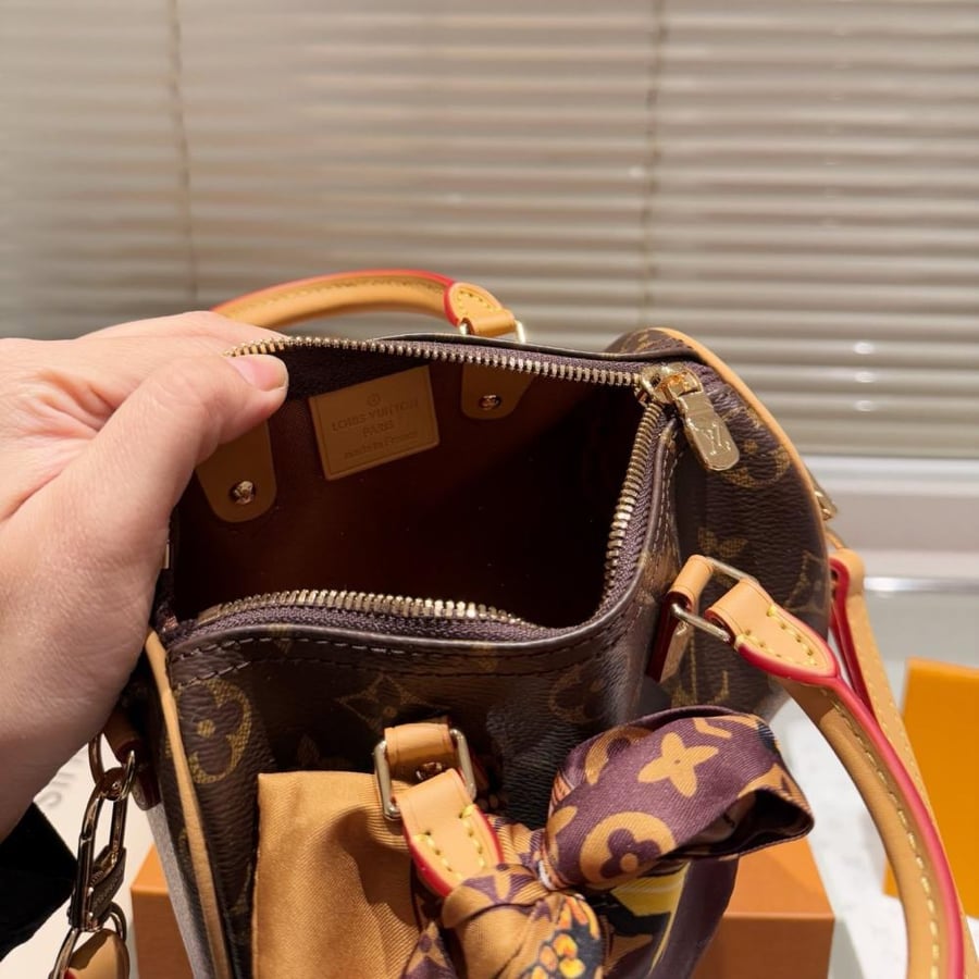 Lv hand bag Nano Speedy