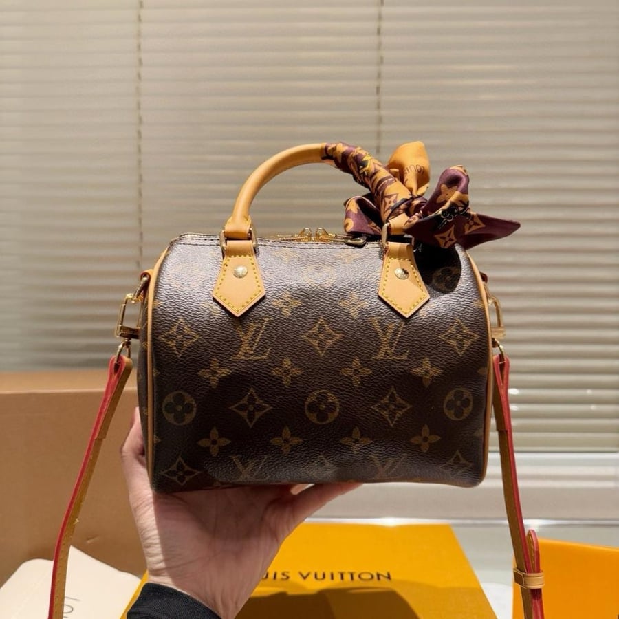 Lv hand bag Nano Speedy
