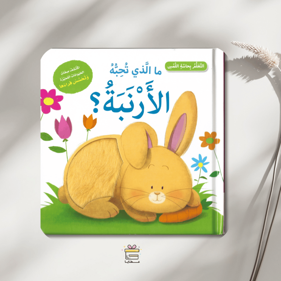 عالمي الأول