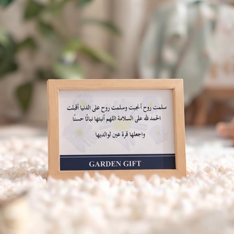 كرت مولوده